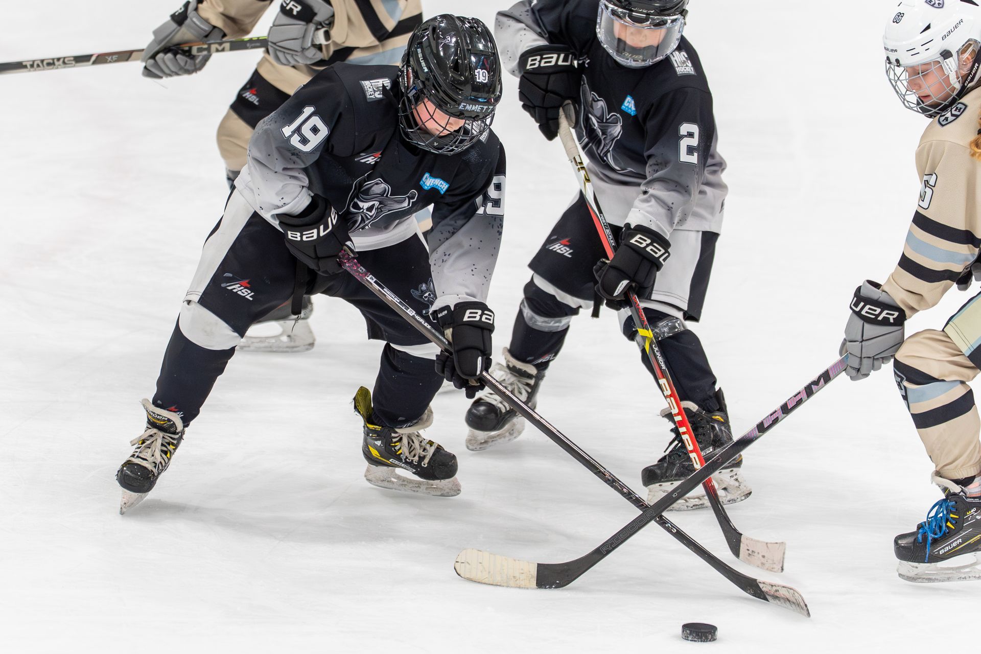 Calgary bandits Spring teams