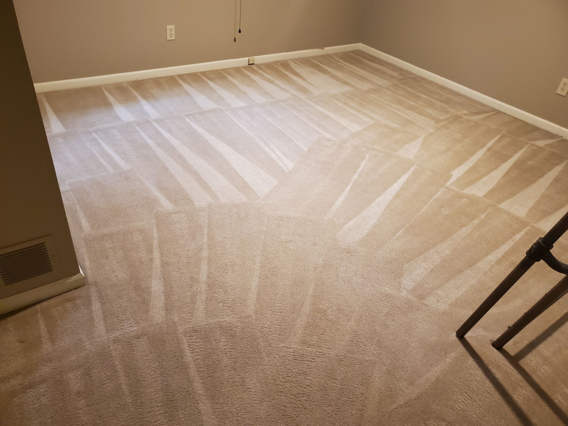 Beige carpeted room with brush marks, baseboards, and part of a tripod stand.