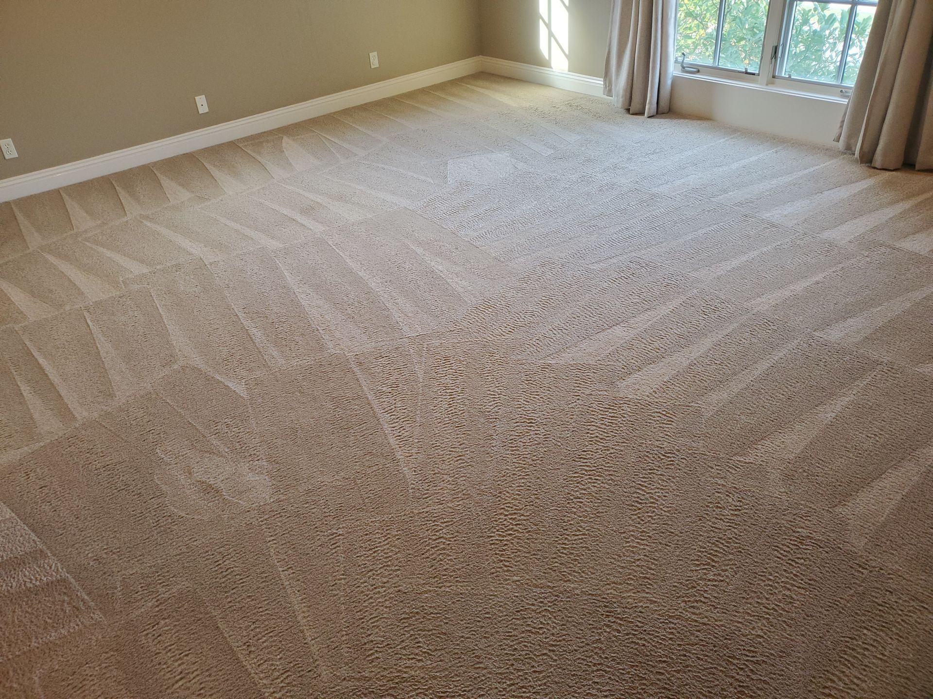 Beige carpeted room, with light coming from a window.