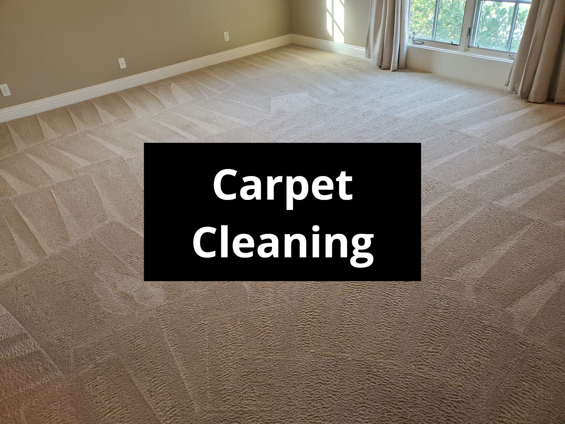 A large room with a freshly cleaned carpeted floor.
