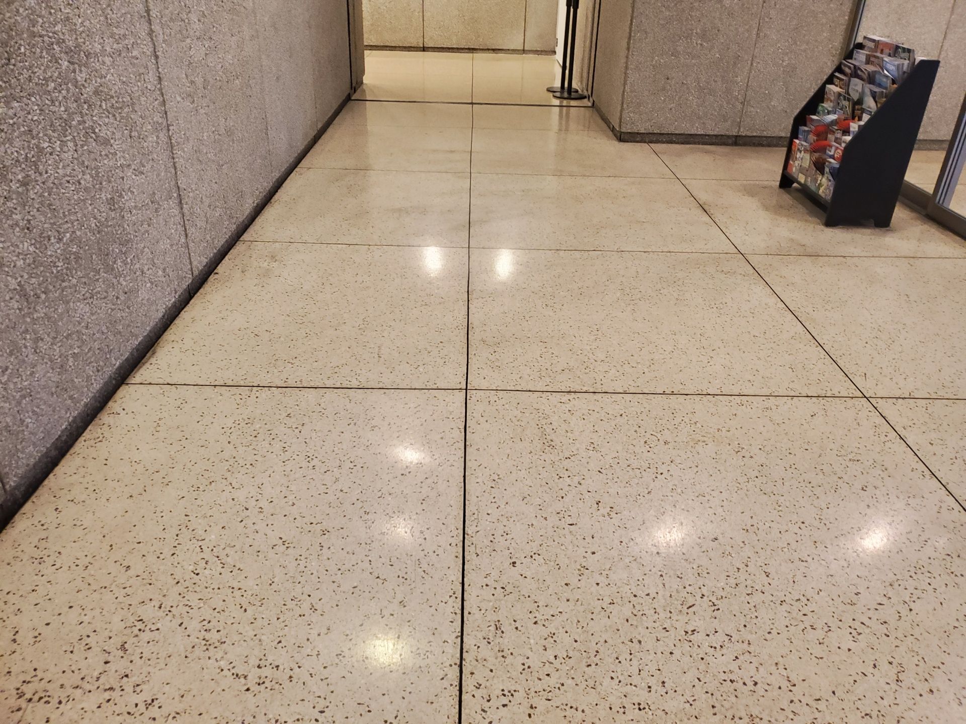Terrazzo tile floor with dark grout lines, possibly in a building hallway.