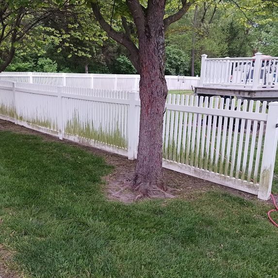 Tree in a grassy yard beside a white fence, with a deck in the background.