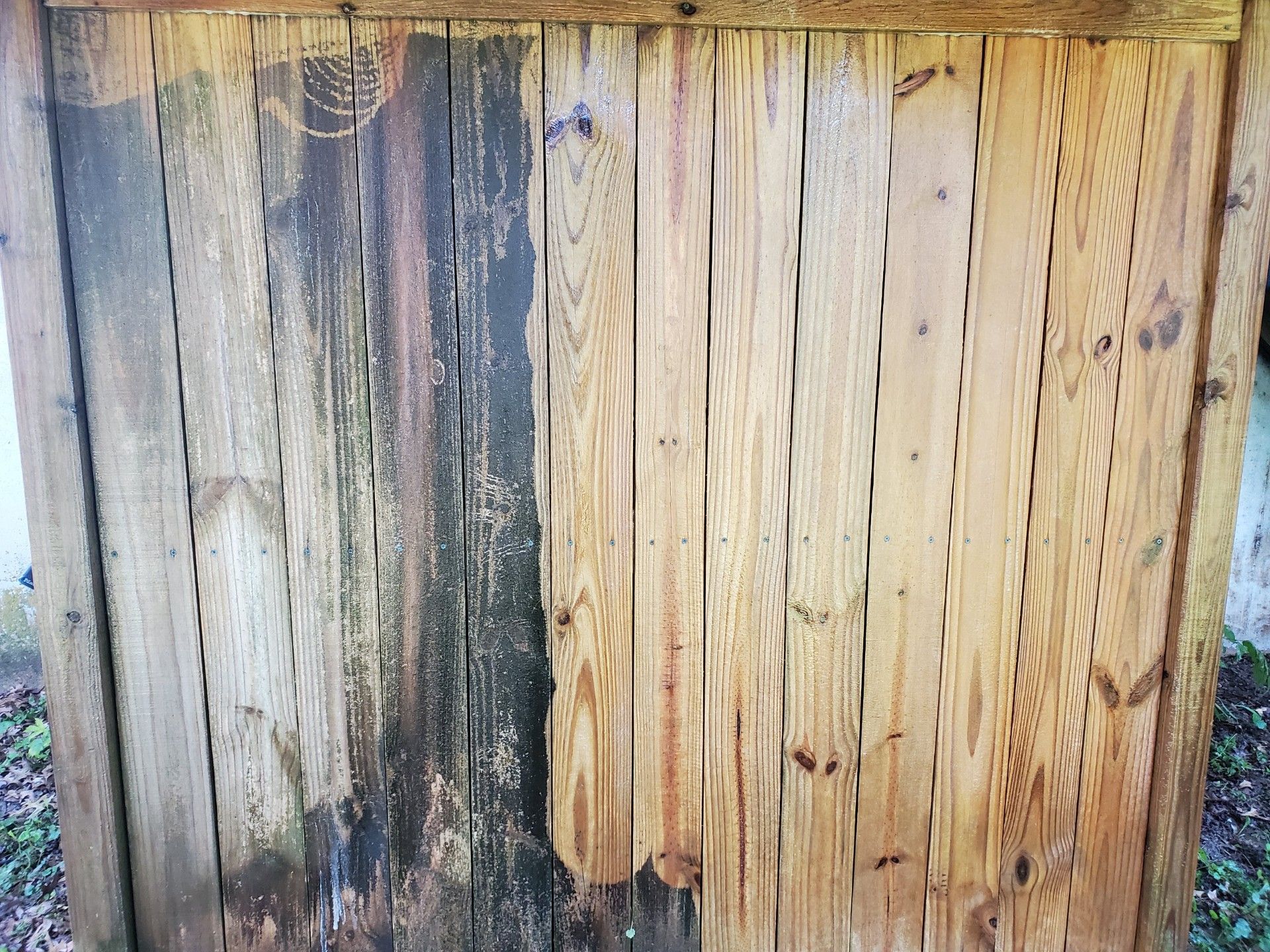 Wooden planks, half covered in black mold. The untreated side is lighter in color.