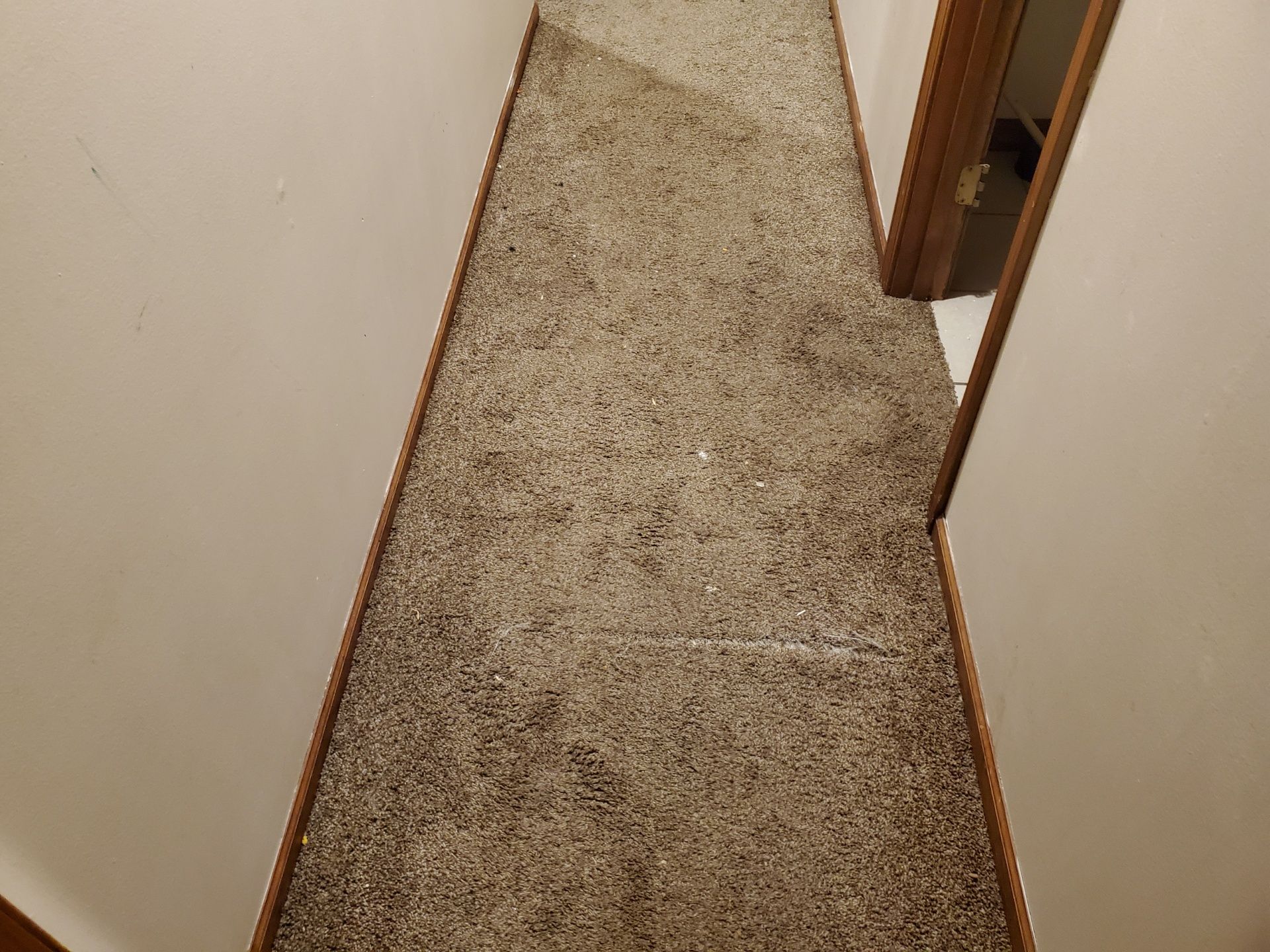 Narrow hallway with beige carpet and off-white walls. A doorframe is visible on the right.