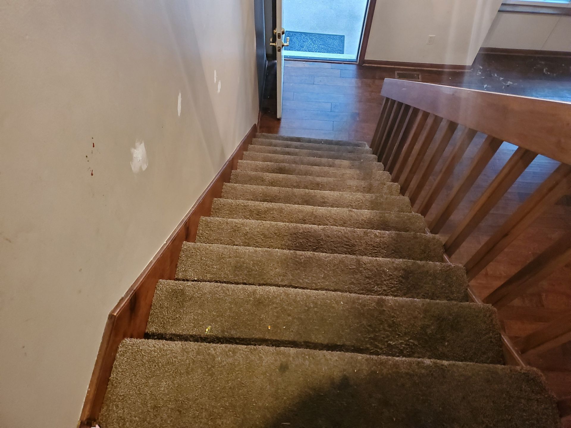 Staircase with carpet steps and wooden railing. Door at top, leading to outside.