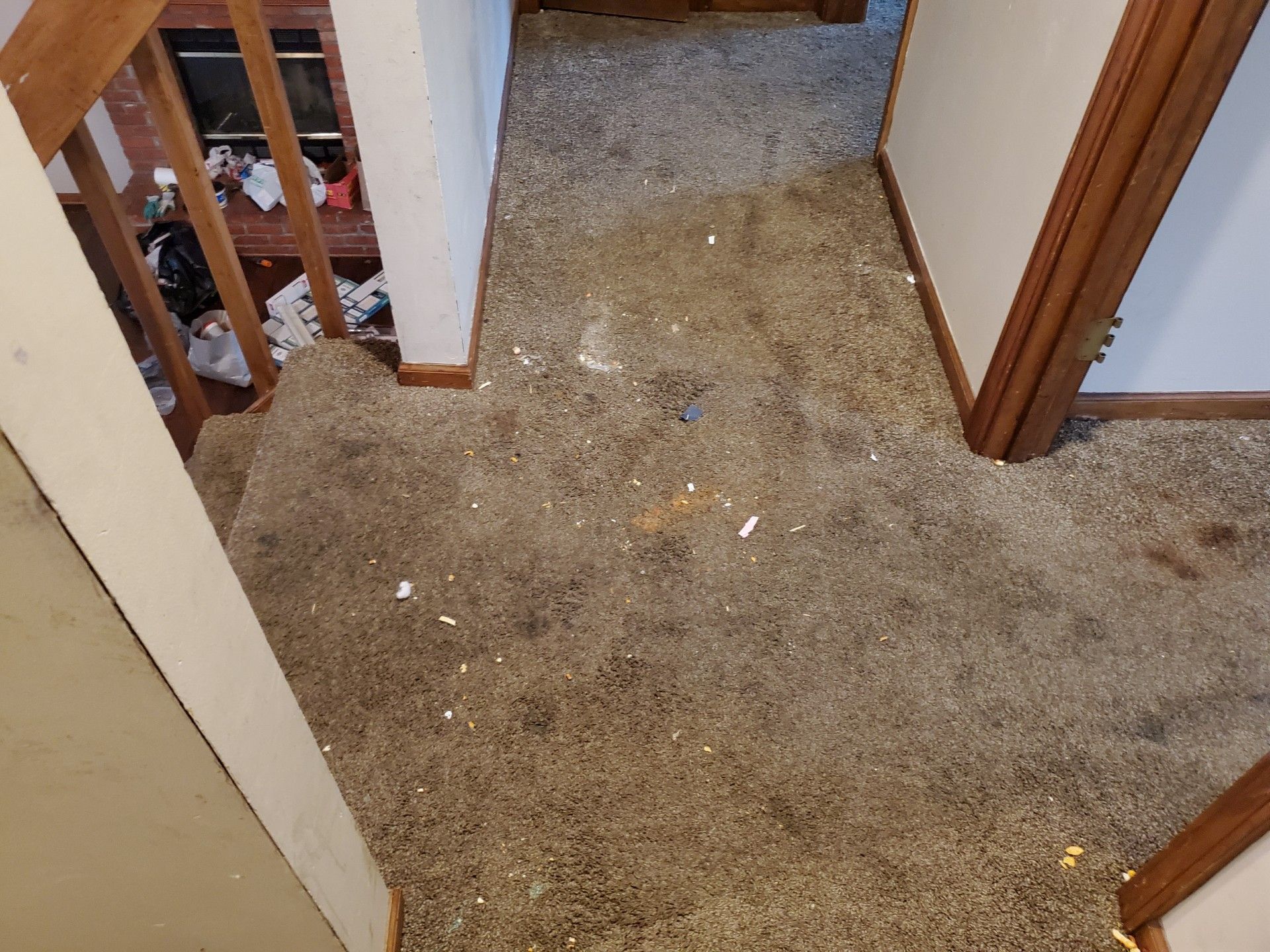 Hallway with dirty, worn carpet, debris scattered, near stairs. Brown trim on doors and walls.