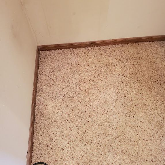 Corner of a room with carpet and wooden trim. Beige walls.