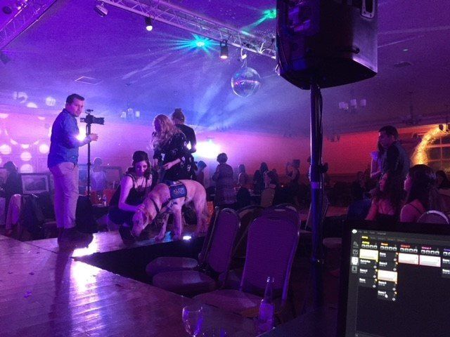 A brightly lit dance hall with people, a service dog, and a person taking a photo. Stage lights and disco ball are visible.