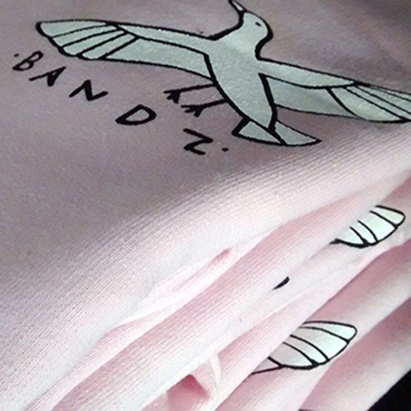Bandz Skateboards