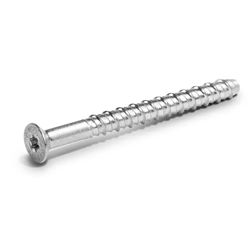 Silver Phillips-head wood screw on a white background