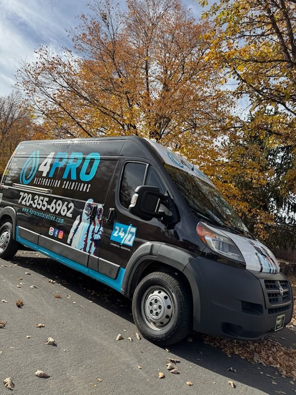 Black service van with “4PRO” branding parked on a leaf-covered street by autumn trees.