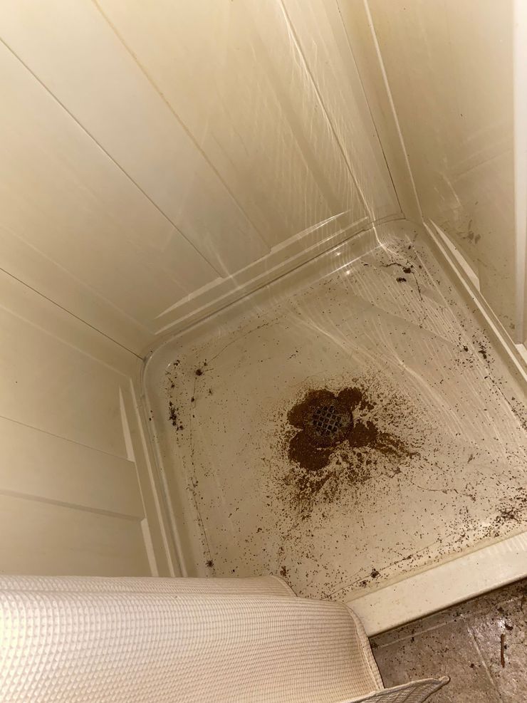 Inside a white trash bin, scattered debris surrounds a dark brown stain on the bottom.