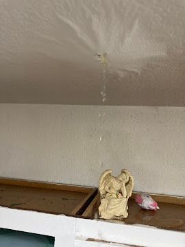Water leaking from a ceiling onto a shelf with small figurines and a pink object underneath.