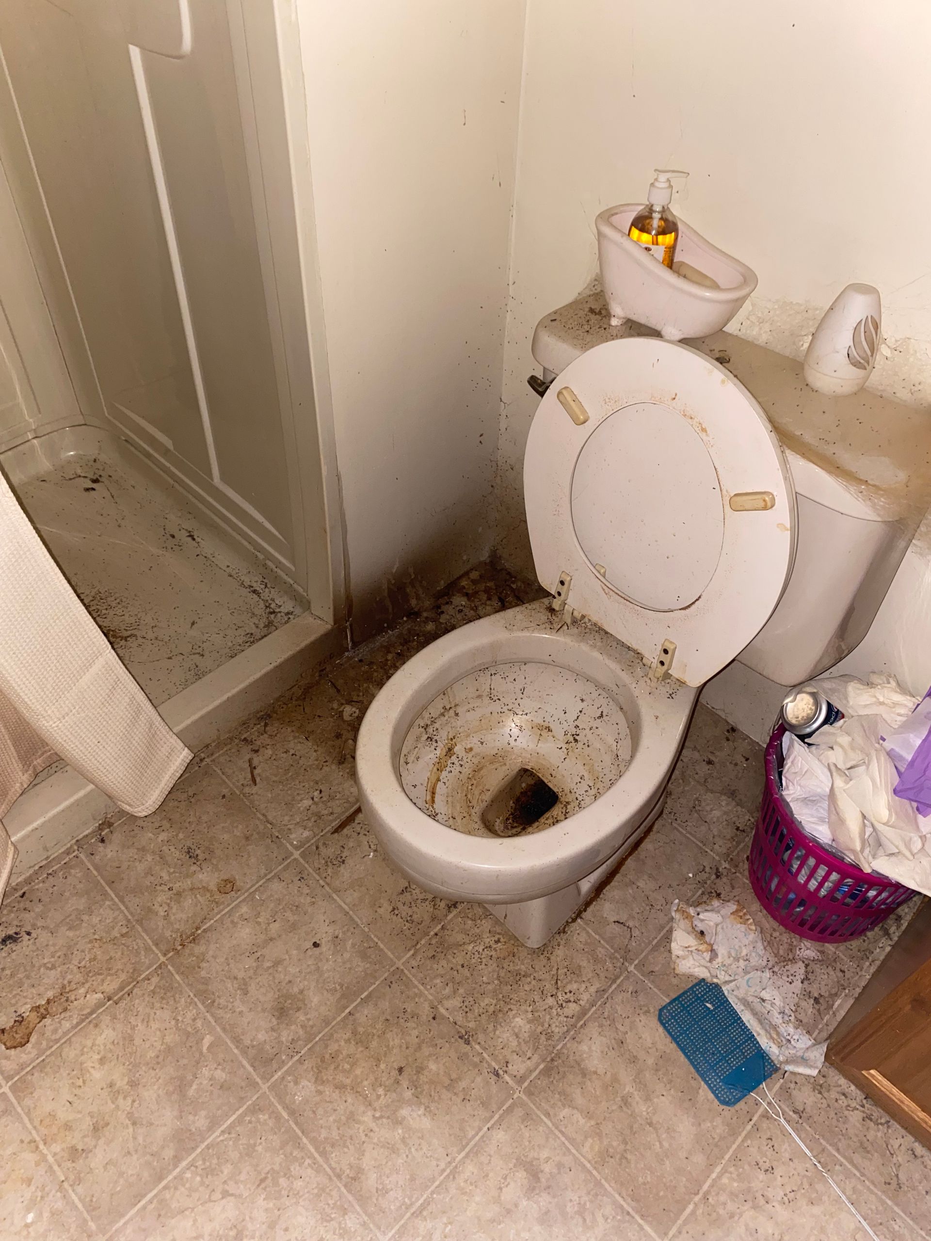 Small, dirty bathroom with an open toilet, shower stall, and trash bag on the floor.