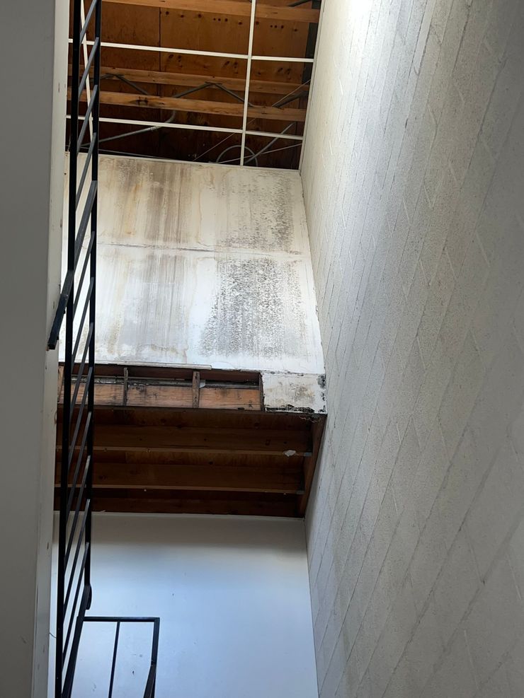 Looking up a narrow stairwell with wooden steps, white walls, and a metal railing.