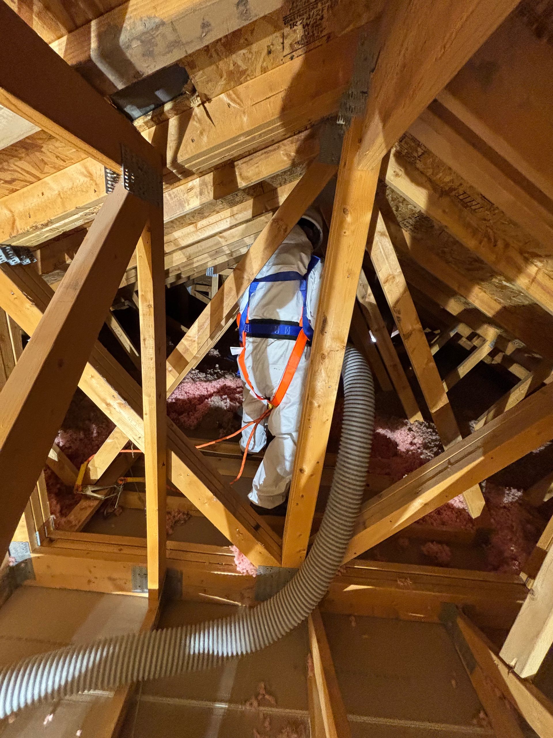 Attic crawlspace with wooden rafters, insulation, and ducts, including a blue utility bag and hoses