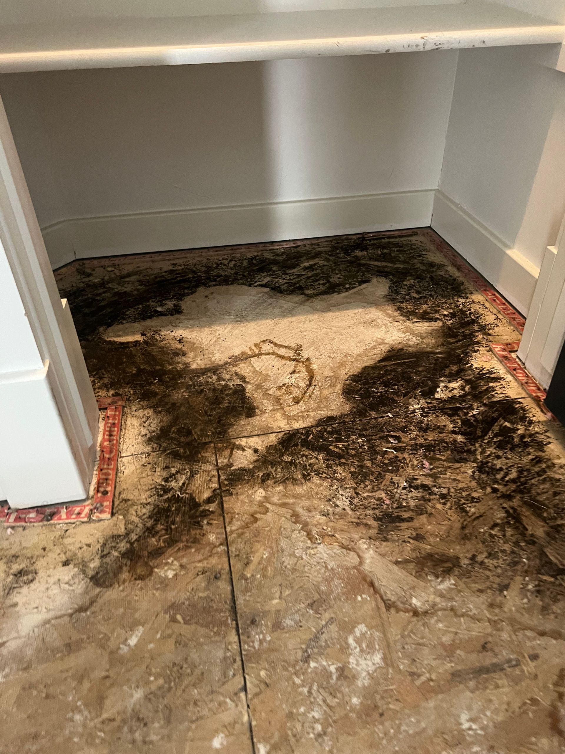 Dark damp stains and mold spread across a concrete floor and lower wall in a corner alcove.