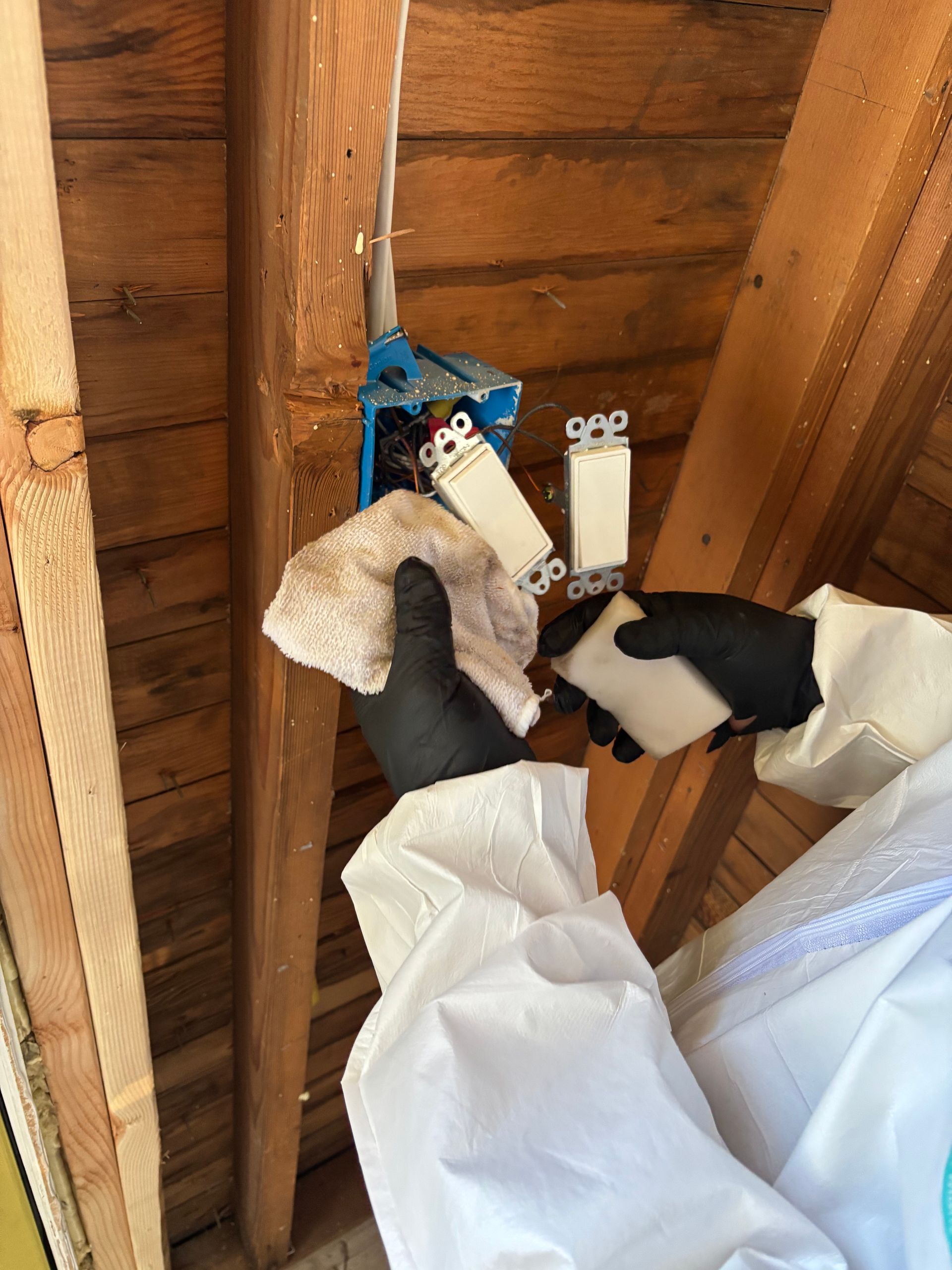 Two black-and-white cats on a wooden attic floor near a wall and blue harness, with white fabric in foreground