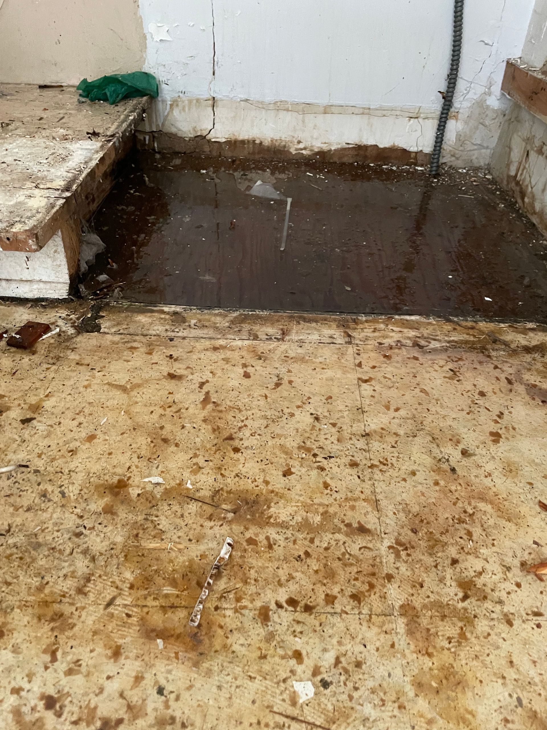 Muddy indoor floor with a shallow puddle and a green hose against a white wall