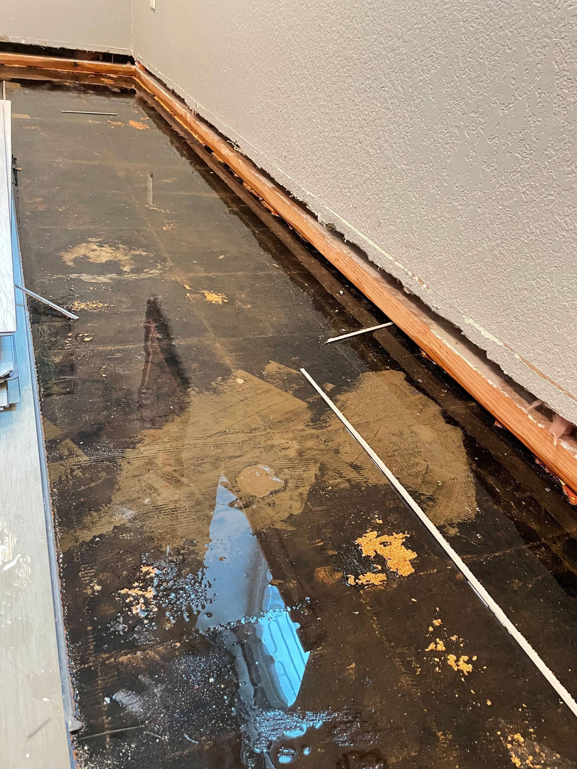 Wet, damaged black floor with peeling paint and a wall baseboard in a hallway corner