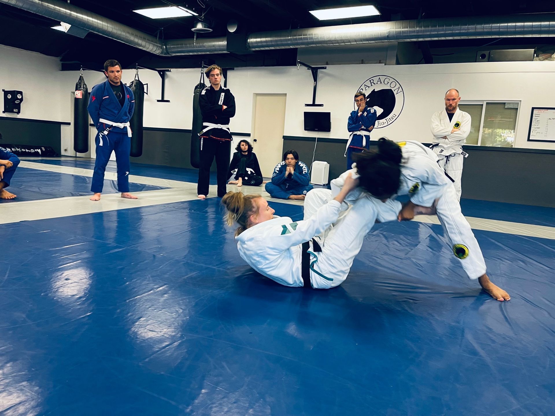 Adults drilling grappling technique at Paragon Simi Valley in Simi Valley, CA, building fitness and confidence.
