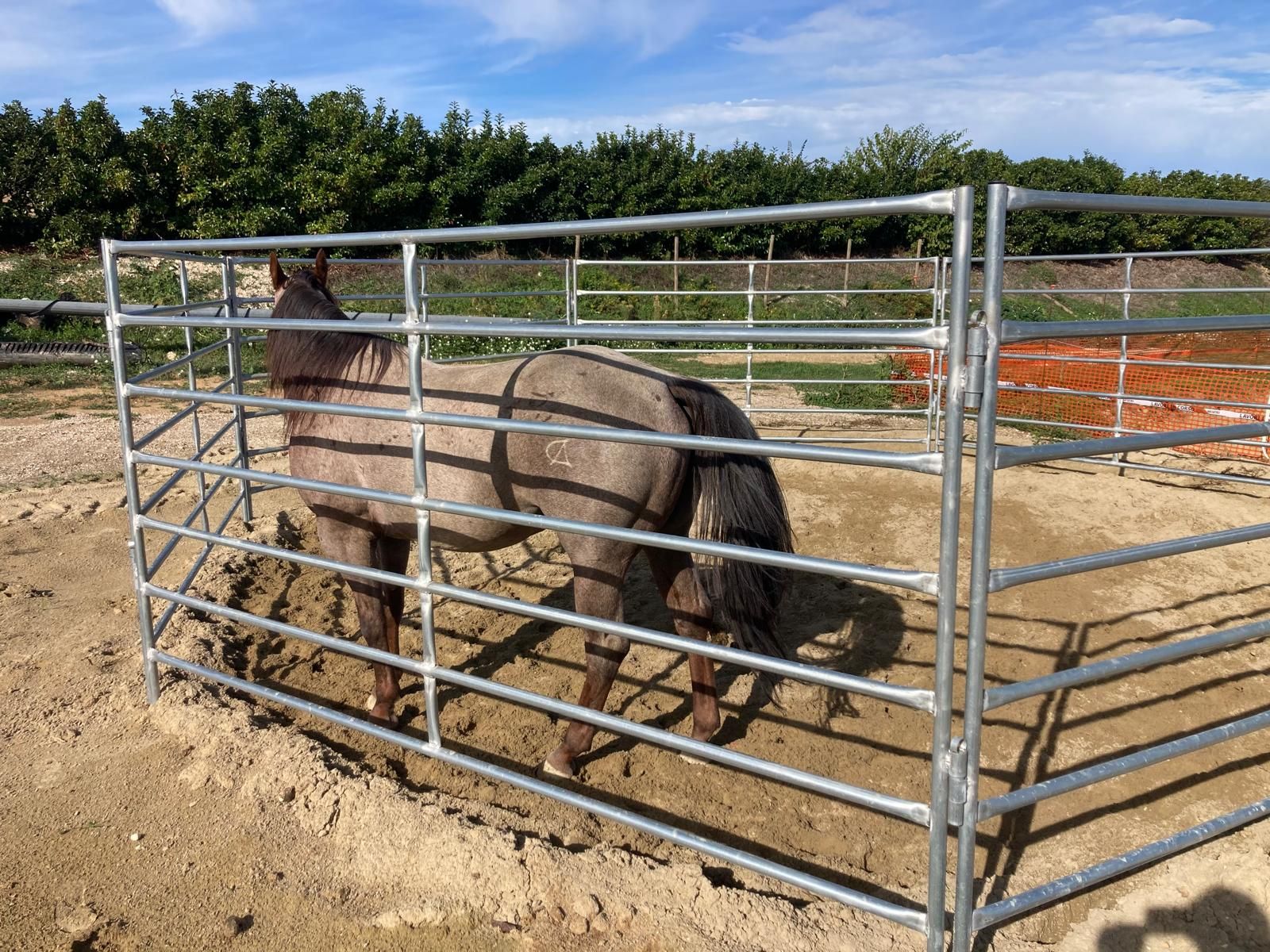 Strutture per animali in ferro