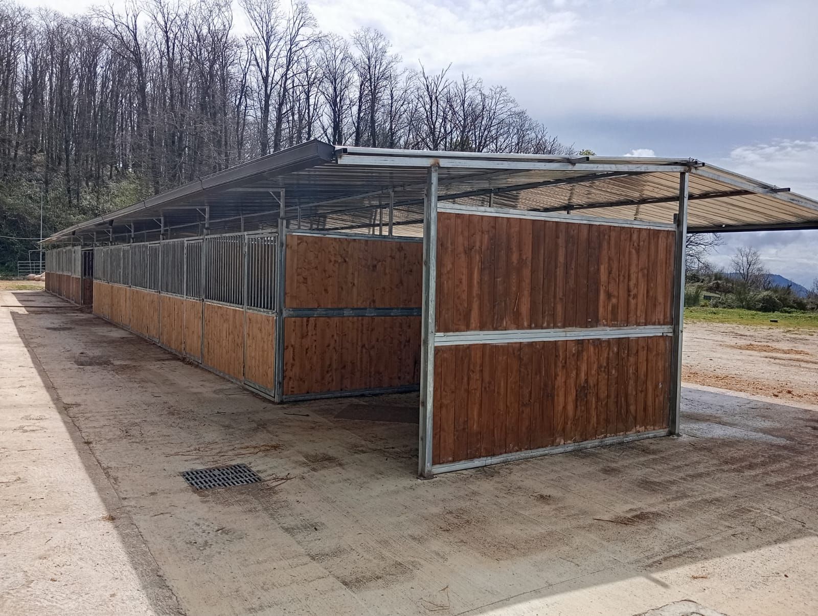 Box modulari per cavalli