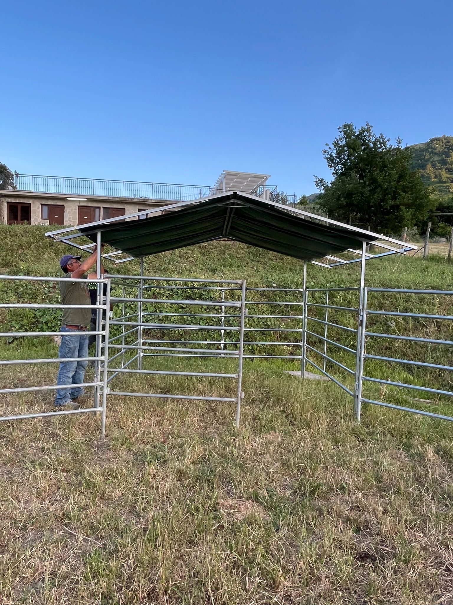 Fence per cavalli