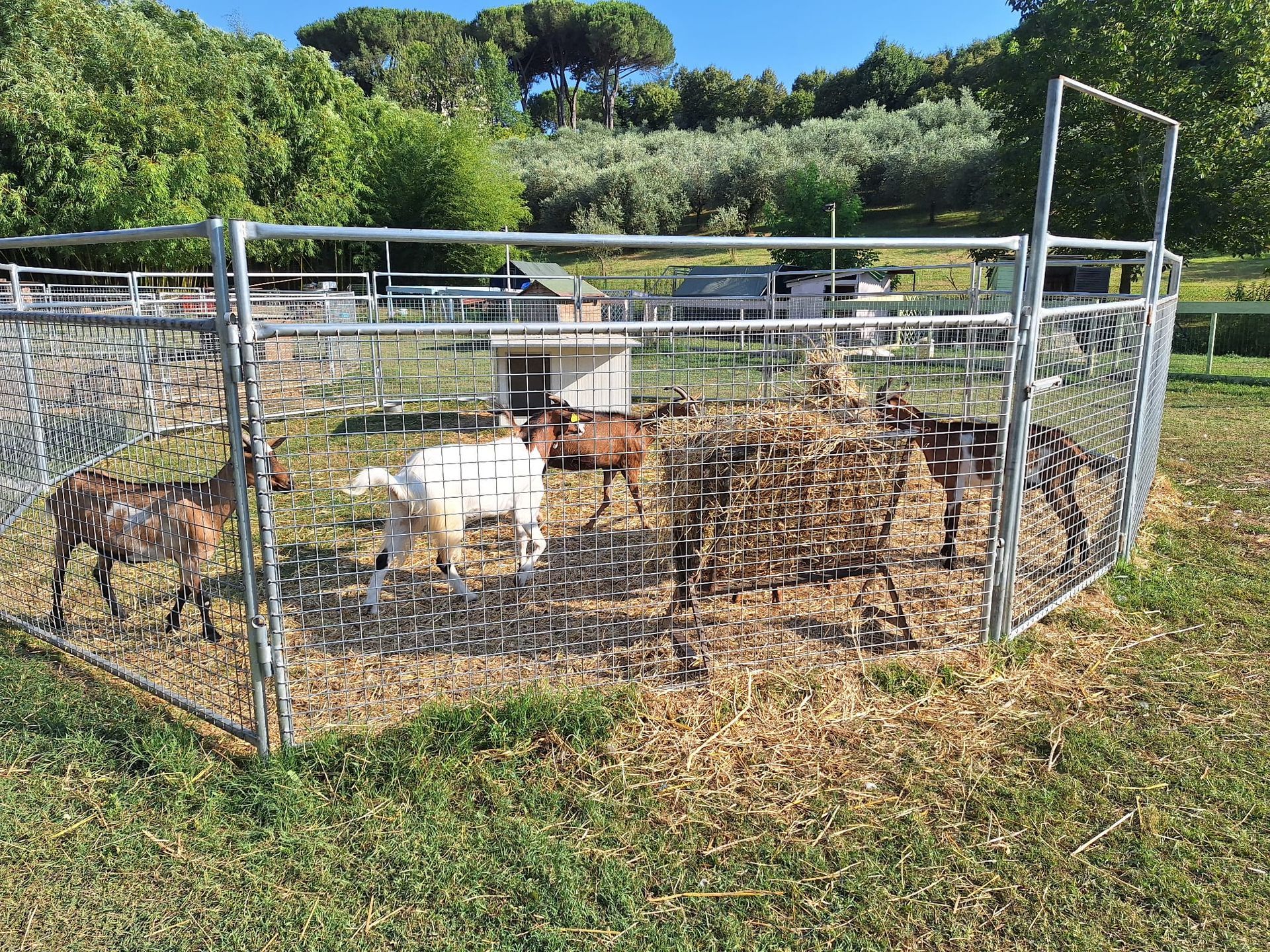 Recinto per animali