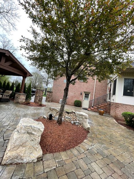 Stone walkway and landscaping with a small tree beside a brick house and covered patio