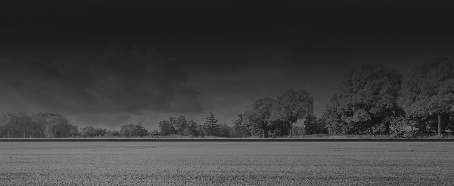 Grayscale outdoors scenery background | Monroe Goodyear