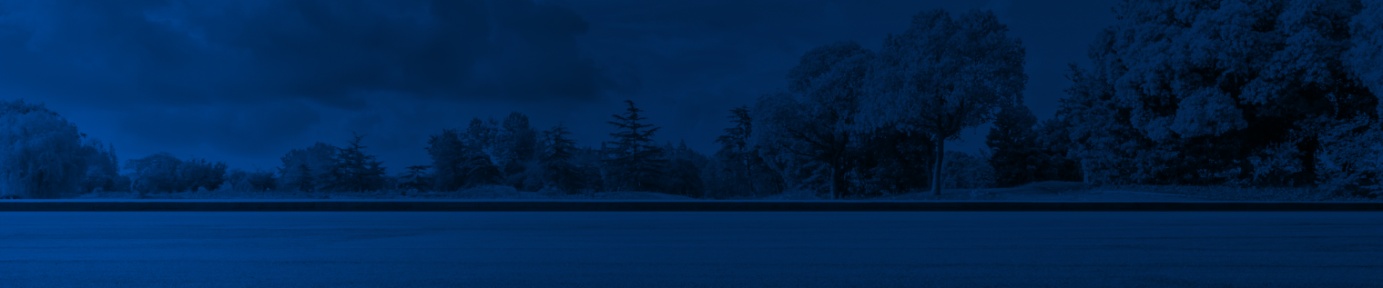 Landscape view of scenery with trees in distance, blue overlay background | Monroe Goodyear