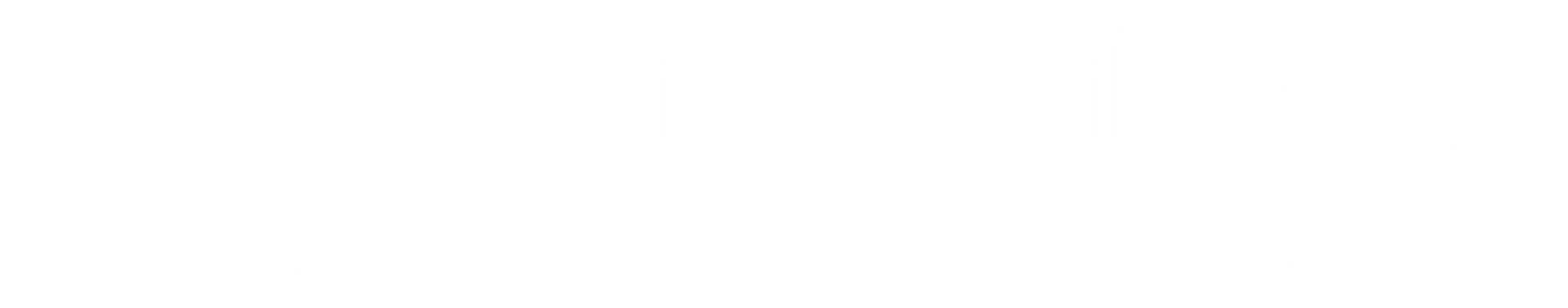A minimalist logo of the letters 