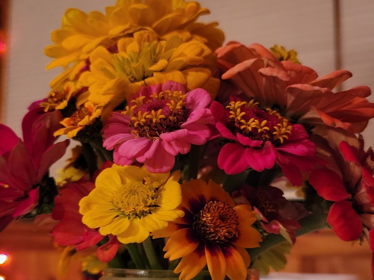 A bouquet of zinnias by Ostara's Grove, Vermont flower farm