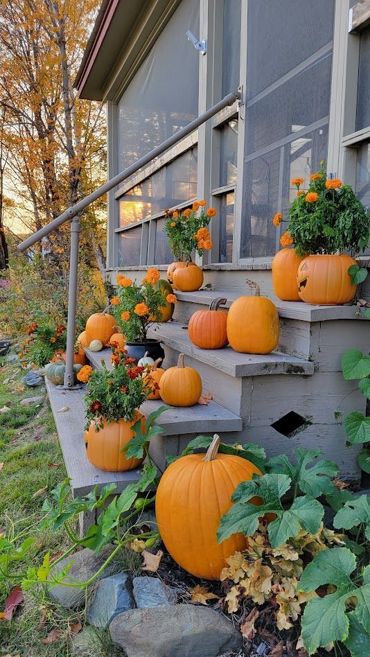 Pumpkins and marigolds decorate the Ostara's Grove porch
