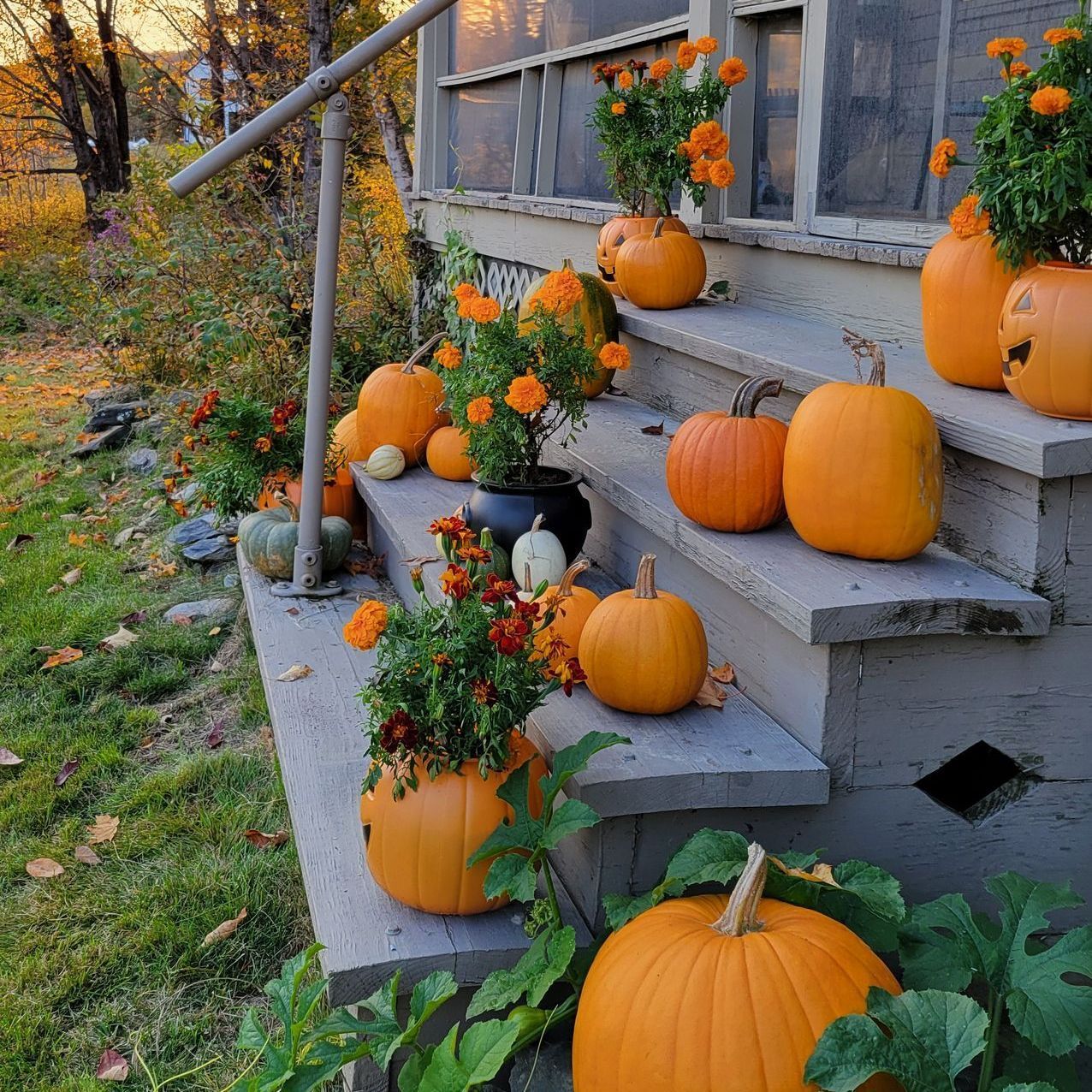 Marigolds and pumpkins adorn the porch at Ostara's Grove Vermont Flower Farm