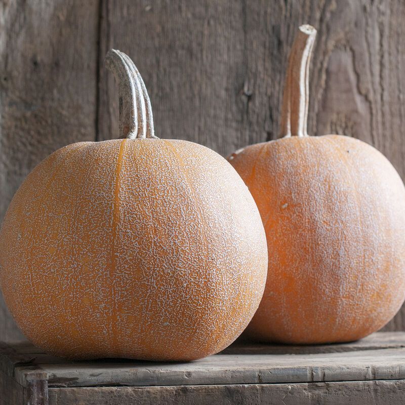 Winter Luxury Pie Pumpkin