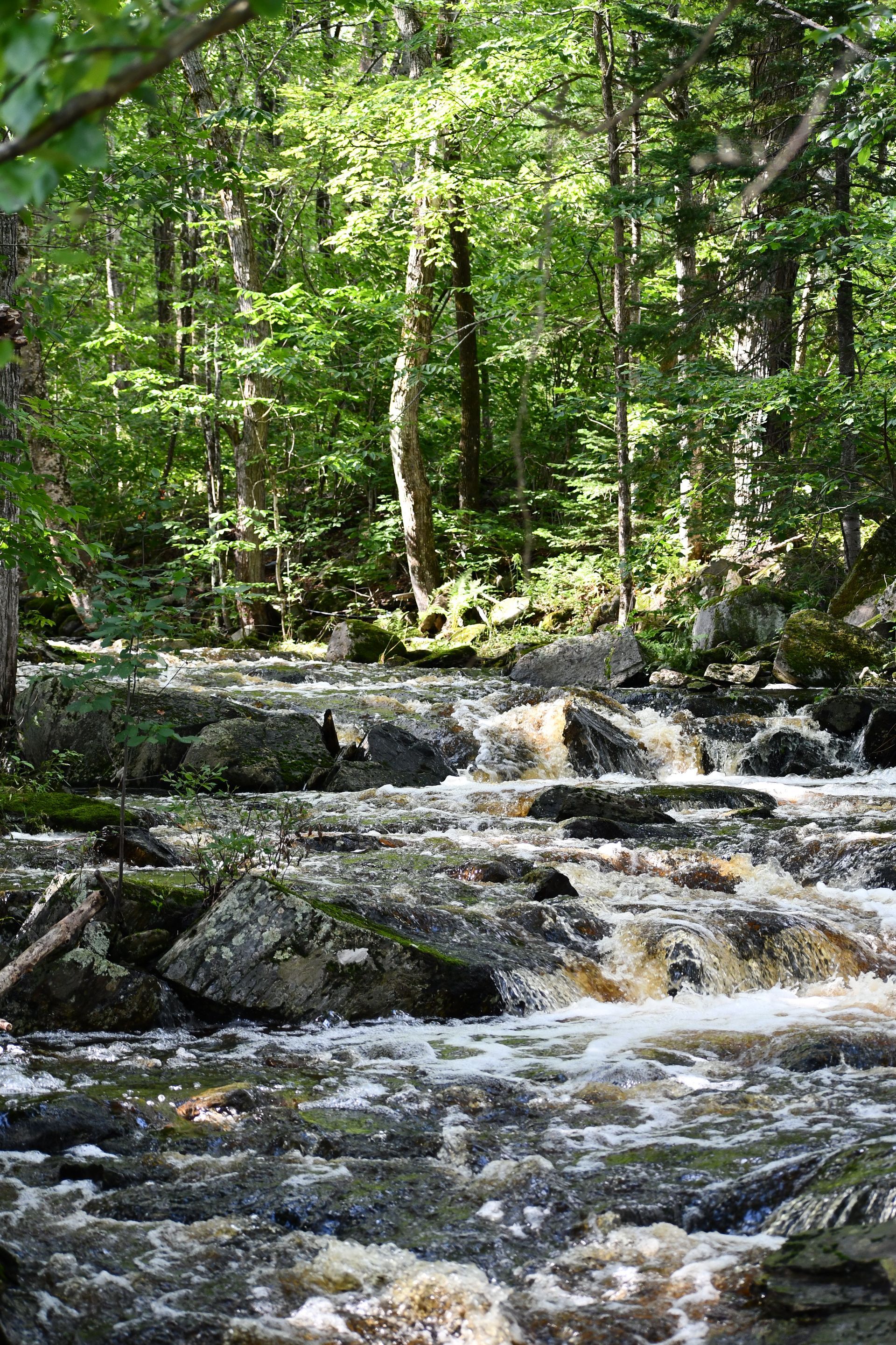 Waterfalls on the property of Ostara's Grove, Vermont flower farm