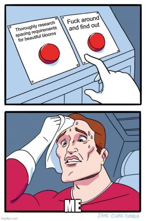 Research or FAFO meme by Ostara's Grove Flower Farm