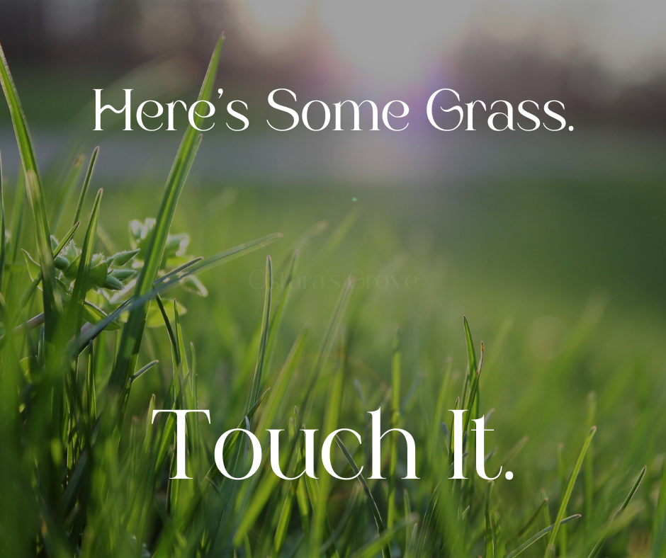 Here's some grass. Touch it.