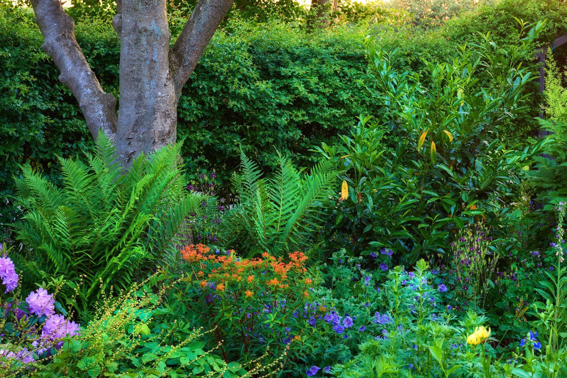 A landscaped patch of land using companion planting at Ostara's Grove