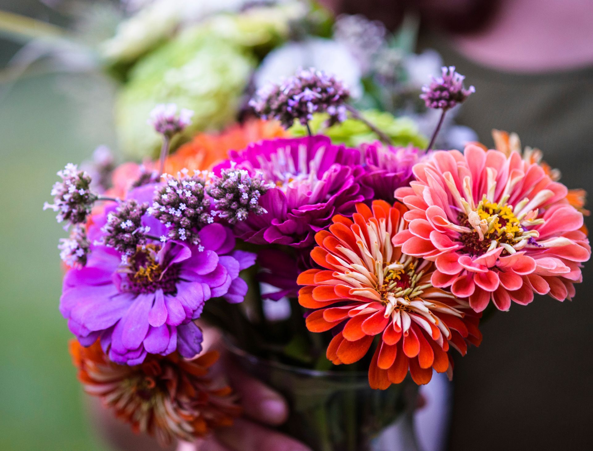 A zinnia bouquet, offered by Ostara's Grove, Vermont flower farm