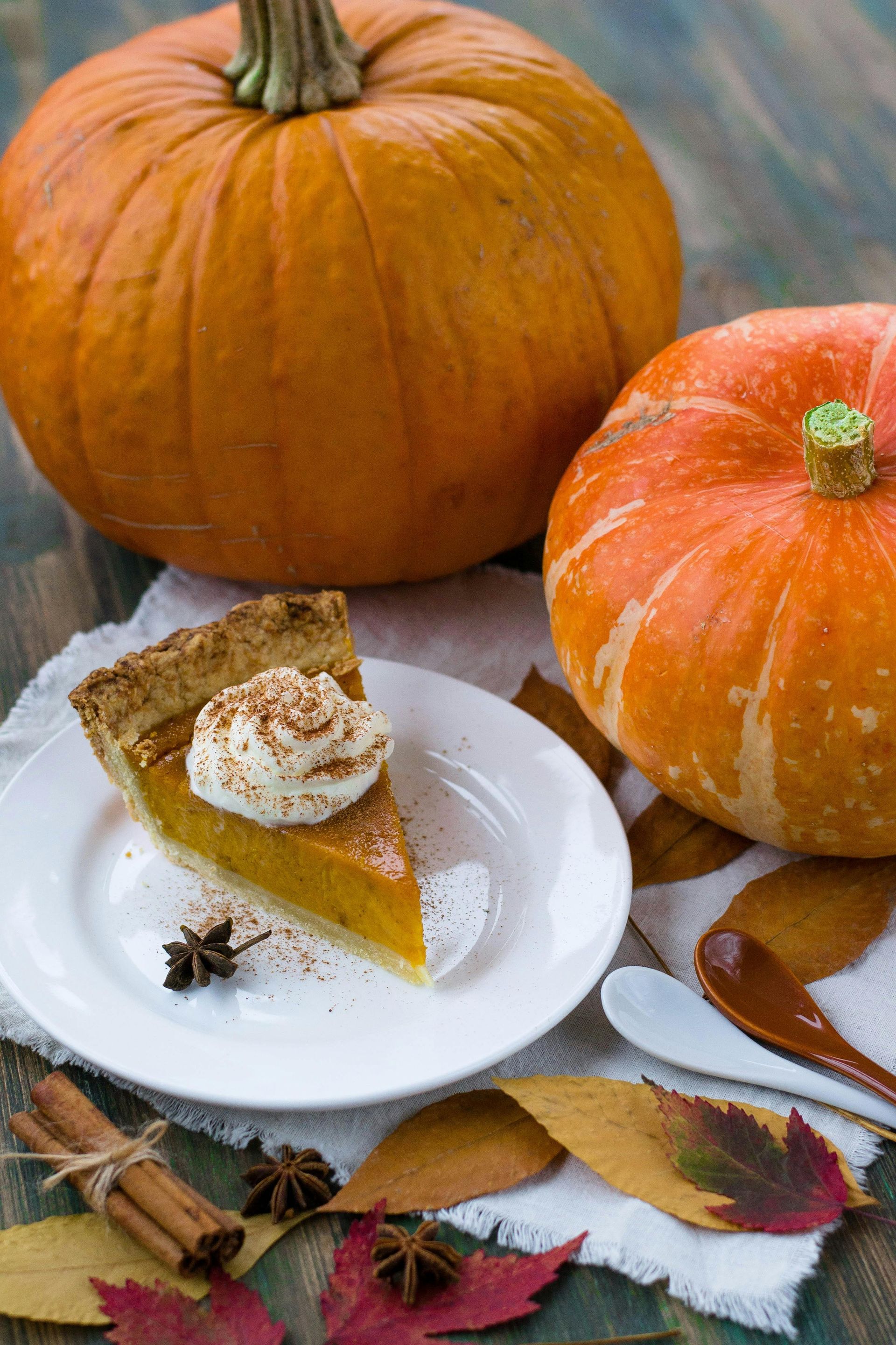 A delicious slice of pumpkin pie sits near decorative mini pumpkins at Ostara's Grove Vermont