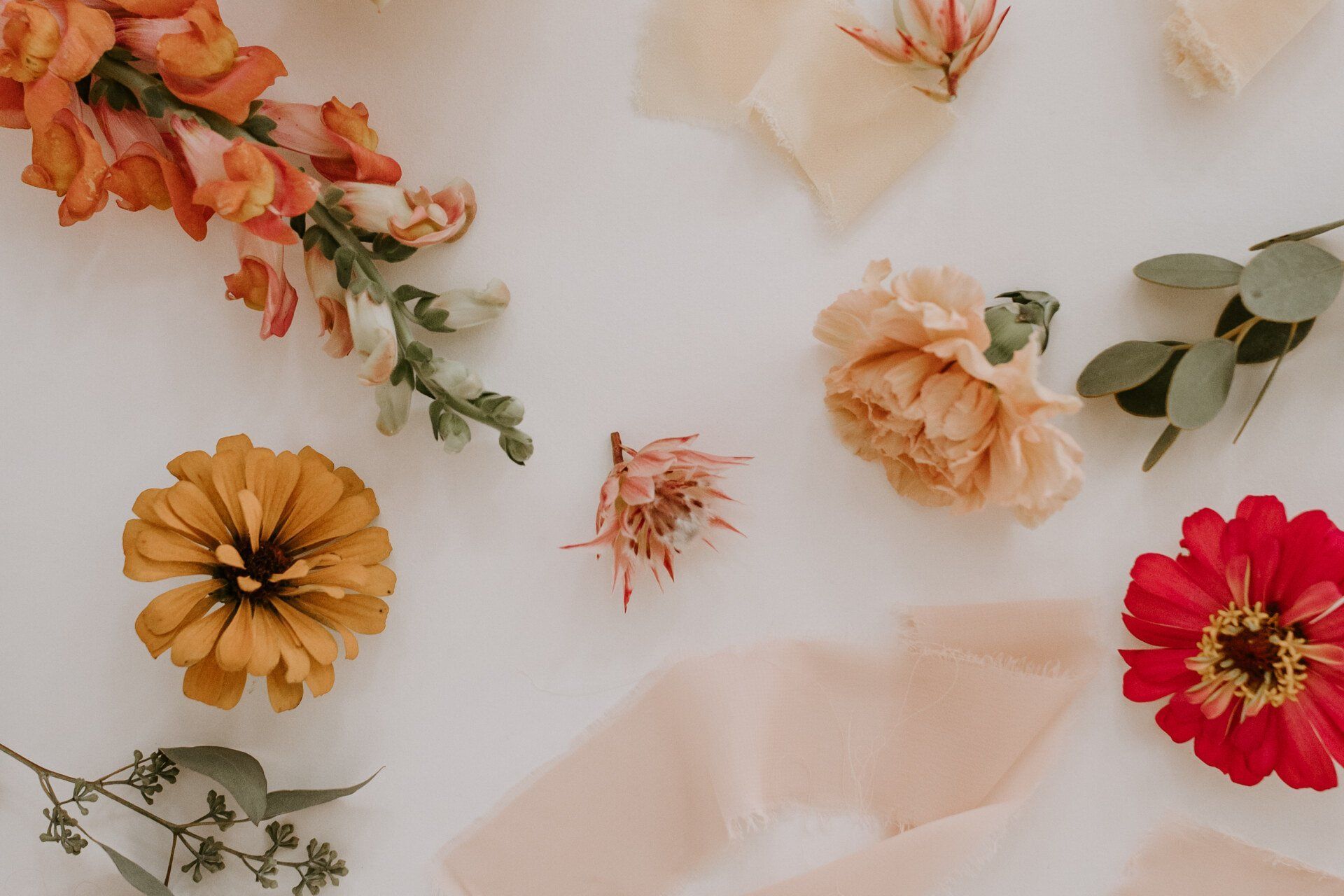 Zinnias, Snapdragons, and Eucalyptus sprigs lie on a table waiting to be used in floral arrangements