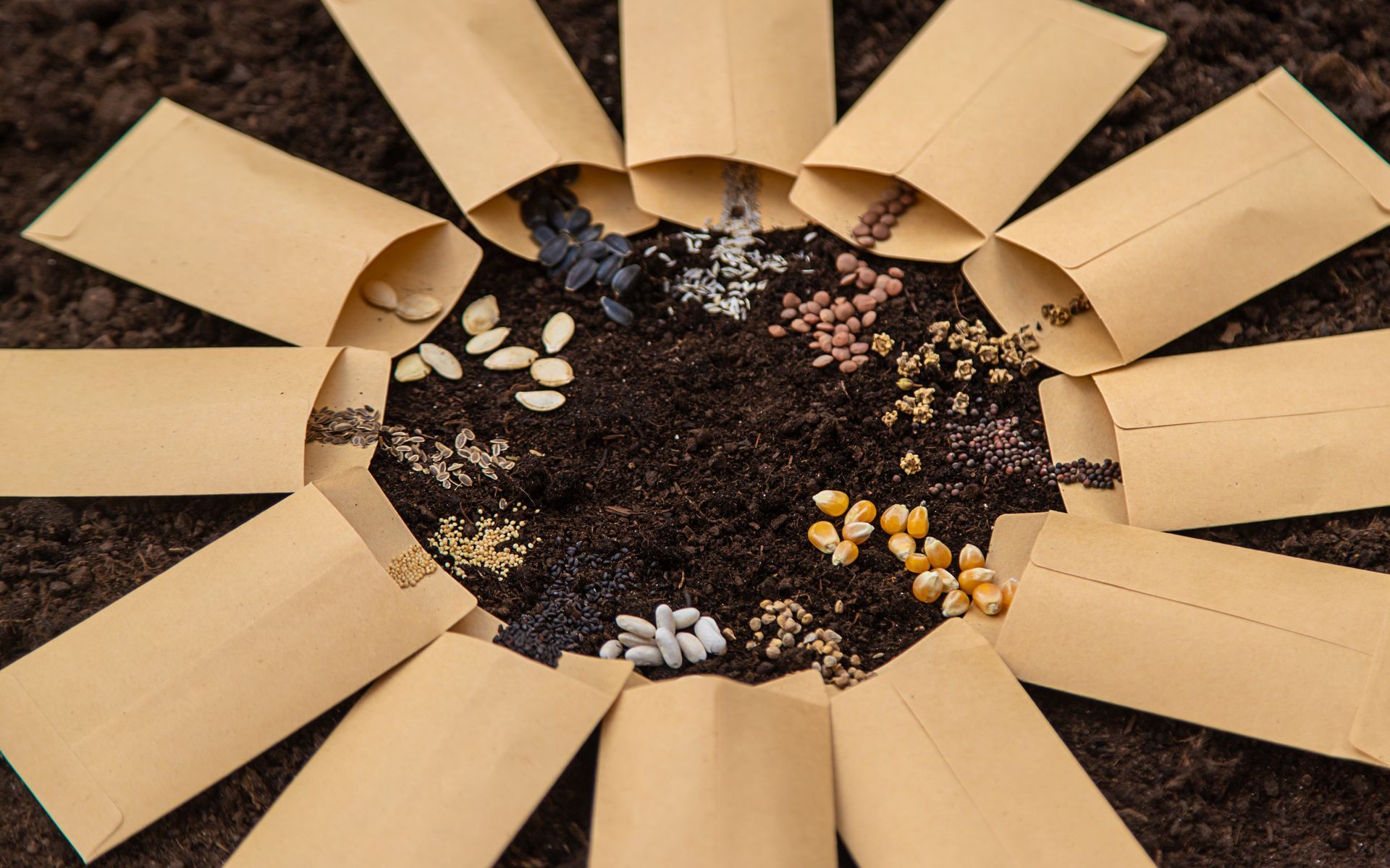 Seed packets for Lunenburg Seed Library