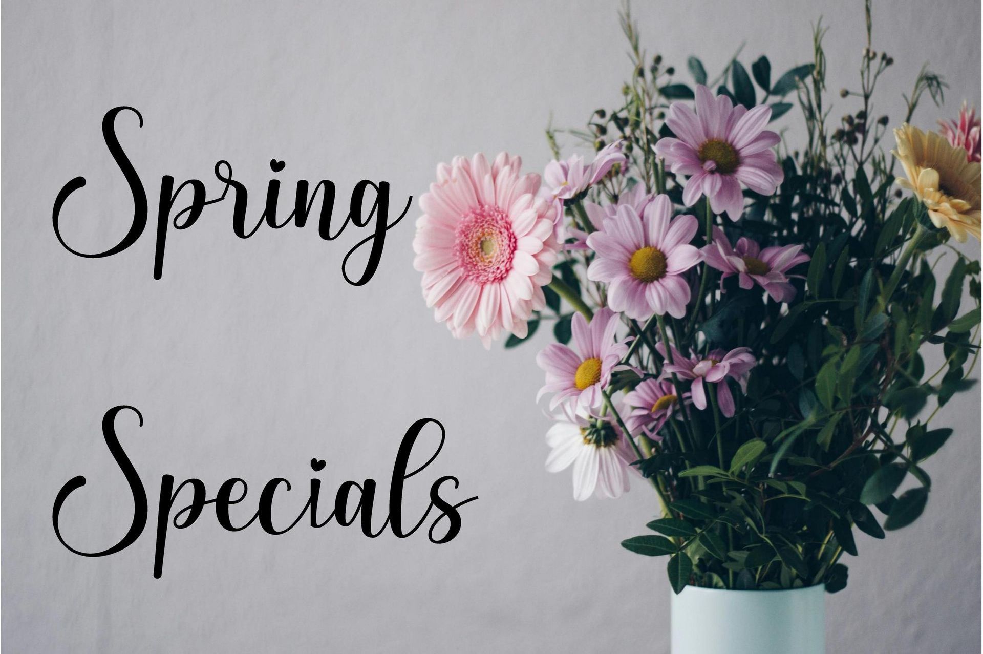 Spring specials Spring specials