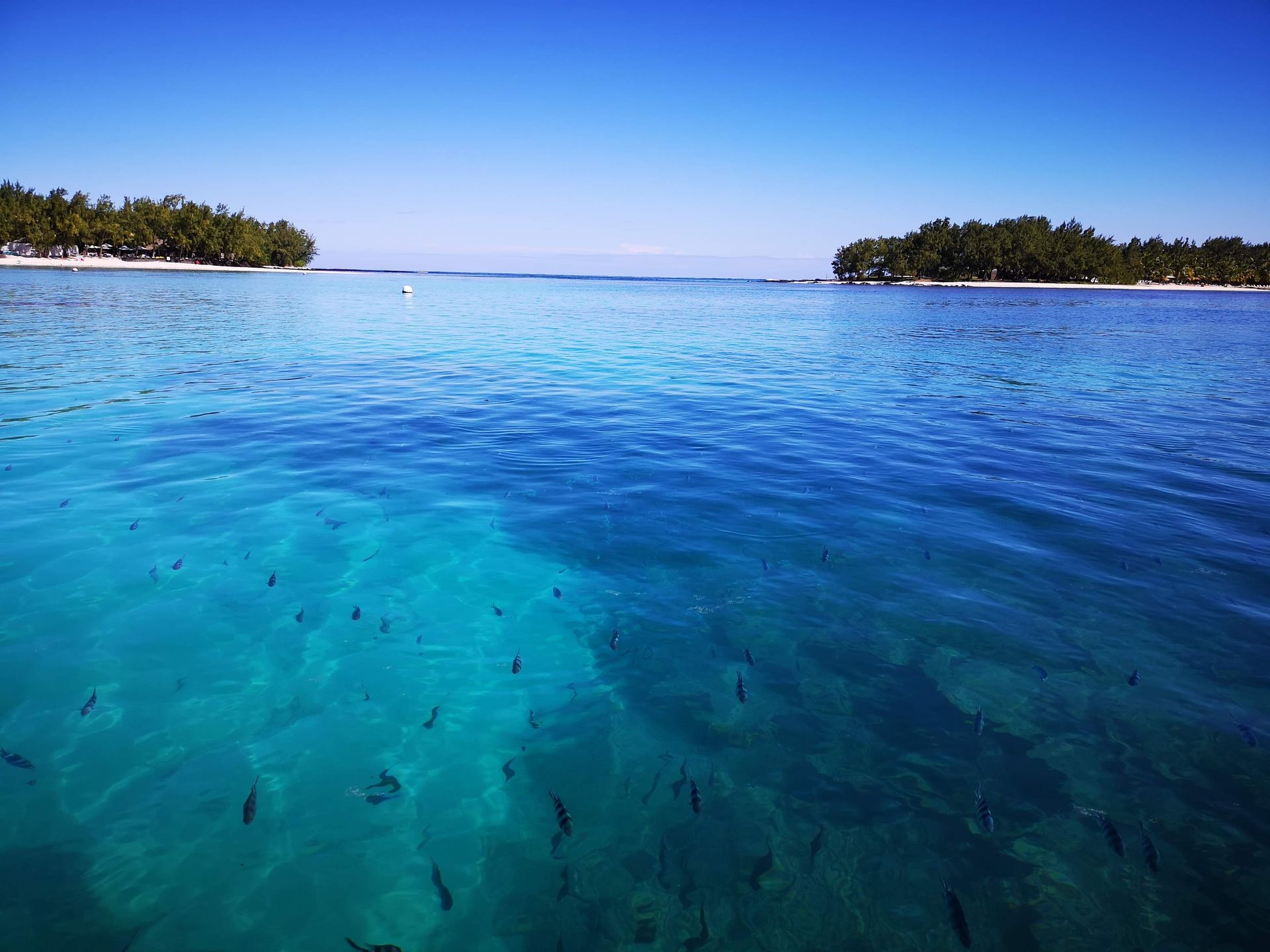 A large body of water with a small island in the distance in Blue Bay Marine Park