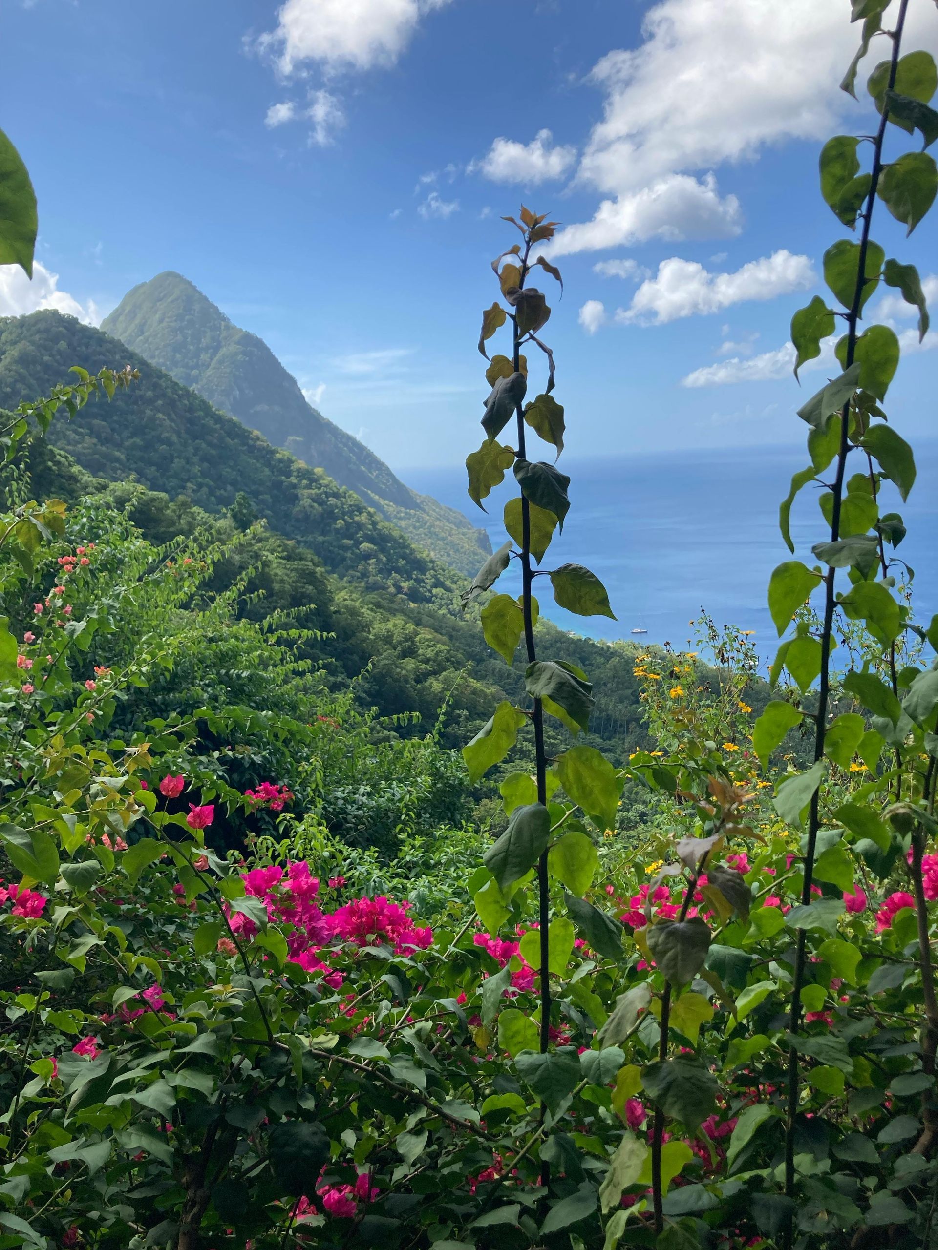 Lush green hillside with pink flowers overlooks the ocean, with a pointed mountain and blue sky dotted with clouds.
