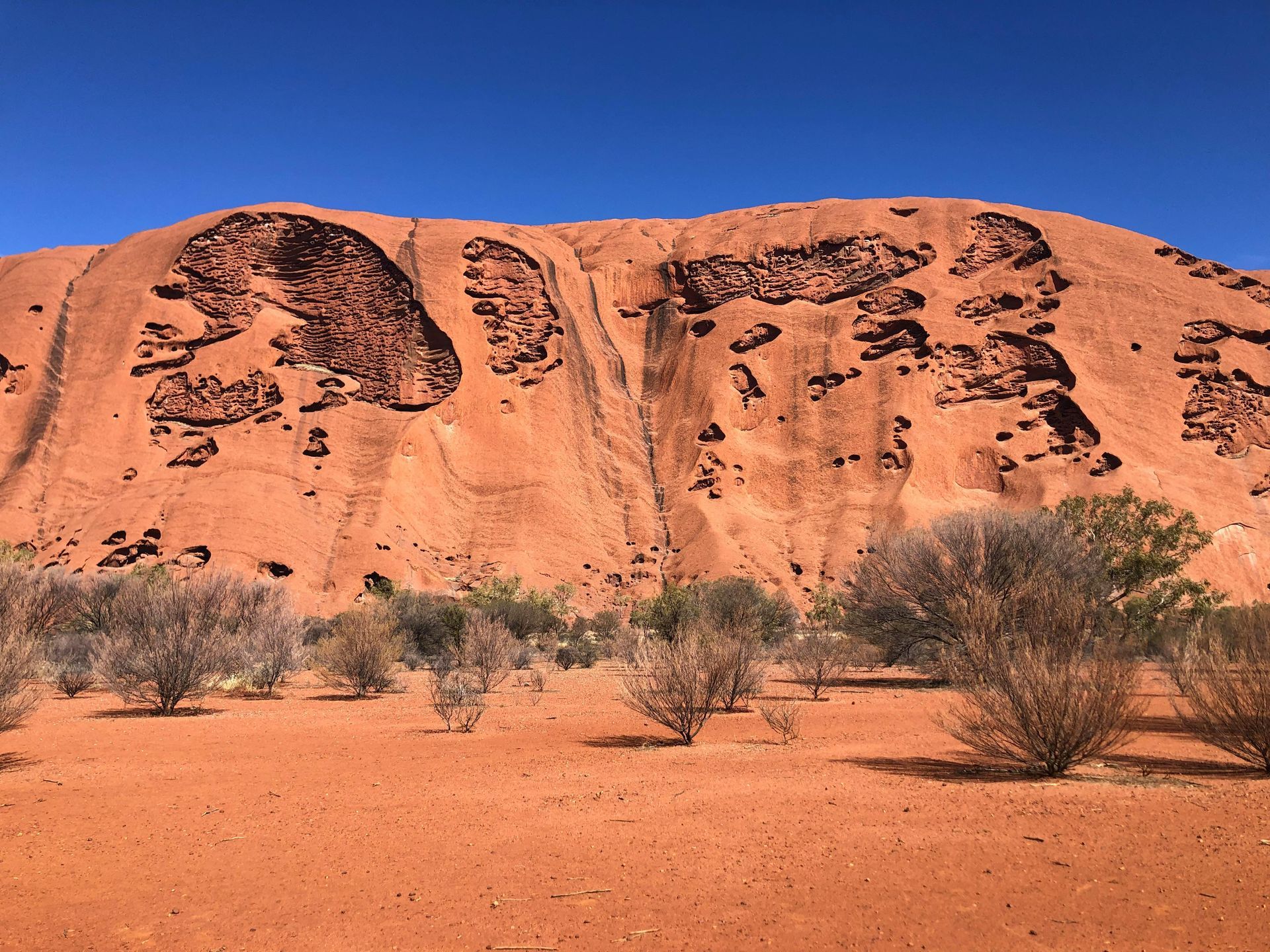 A desert landscape with a large rock formation in the background in the outback Australia