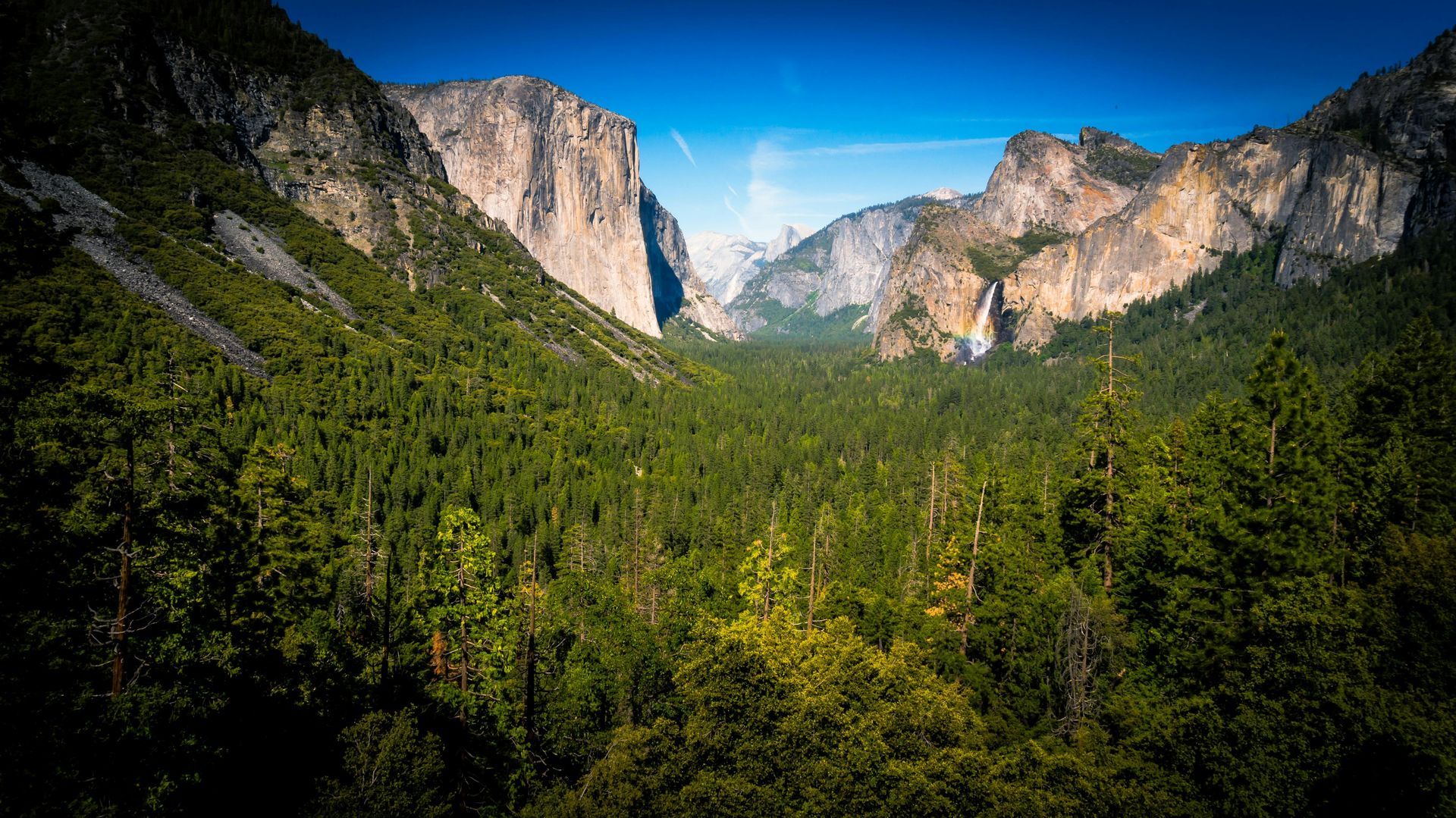 Yosemite Valley with lush green forest in foreground, towering granite cliffs, waterfall, and a bright blue sky.